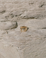 Lone Eye Signet in Opal