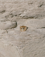 Lone Eye Signet in Opal