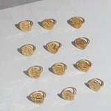 Capricorn Ring