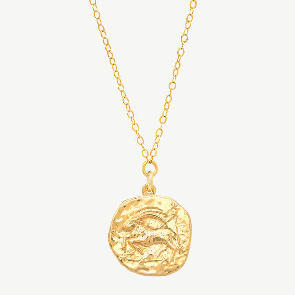 14K Gold Capricorn Necklace - Silver Spring Jewelers